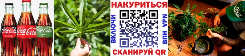 Canna-Cookies конопля  наркота  Сальск 